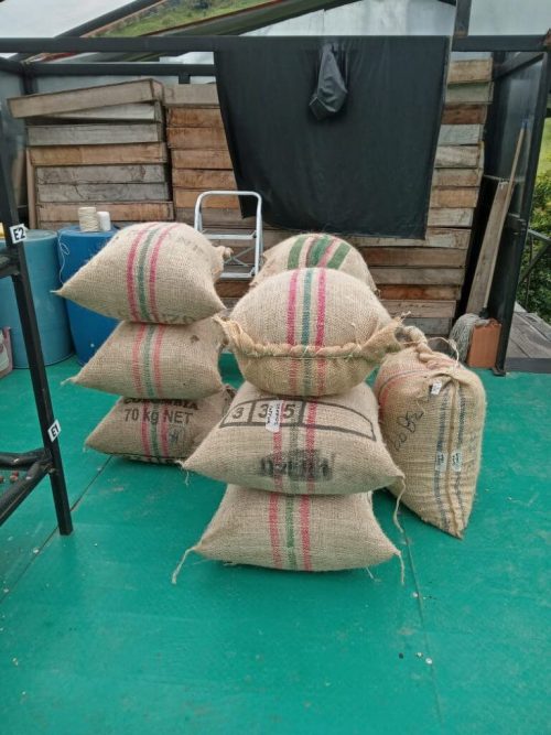 coffee bags ready for export