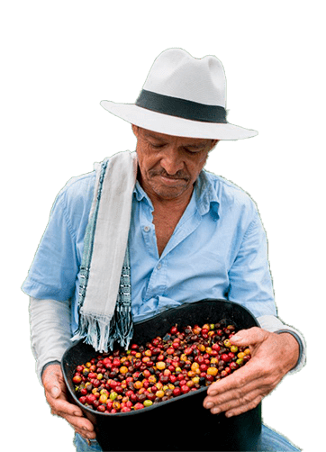 Arabica Coffee Beans Supplier